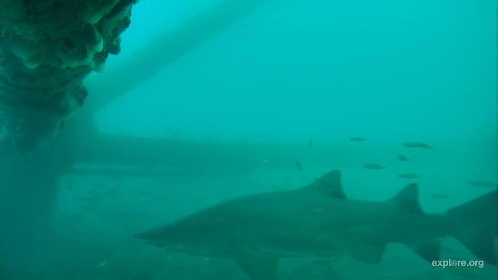 5b940f6d-80e8-4dbb-9650-a2159204d4ef