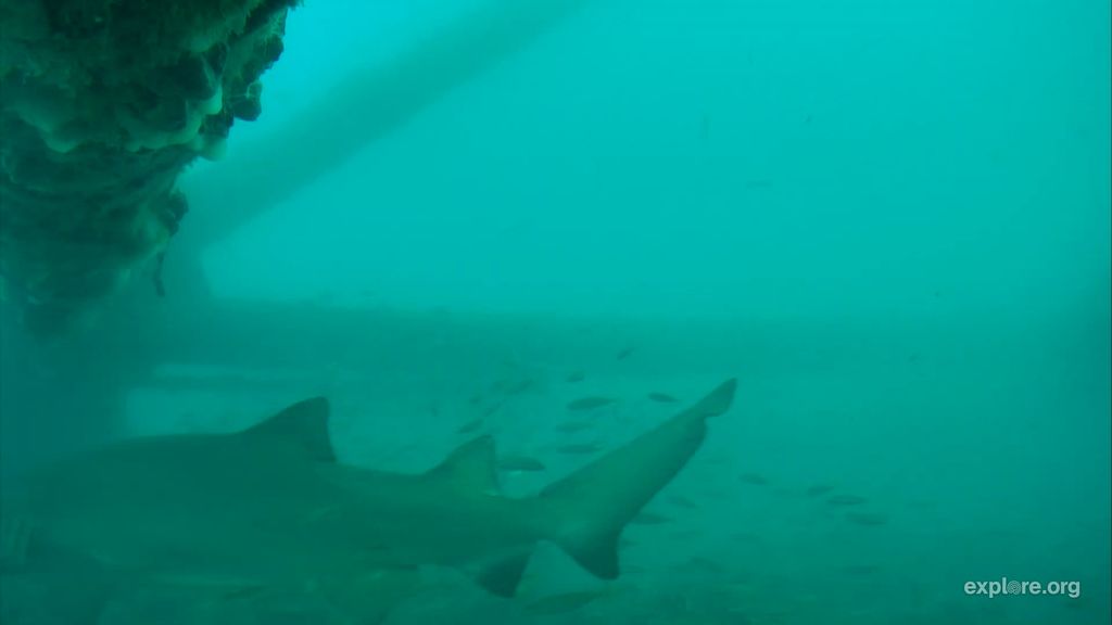 5b940f6d-80e8-4dbb-9650-a2159204d4ef