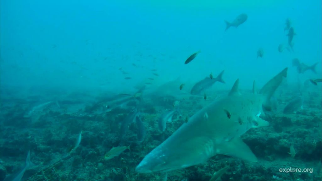 af86dec3-b049-4d41-a132-6b3b1cbc1403