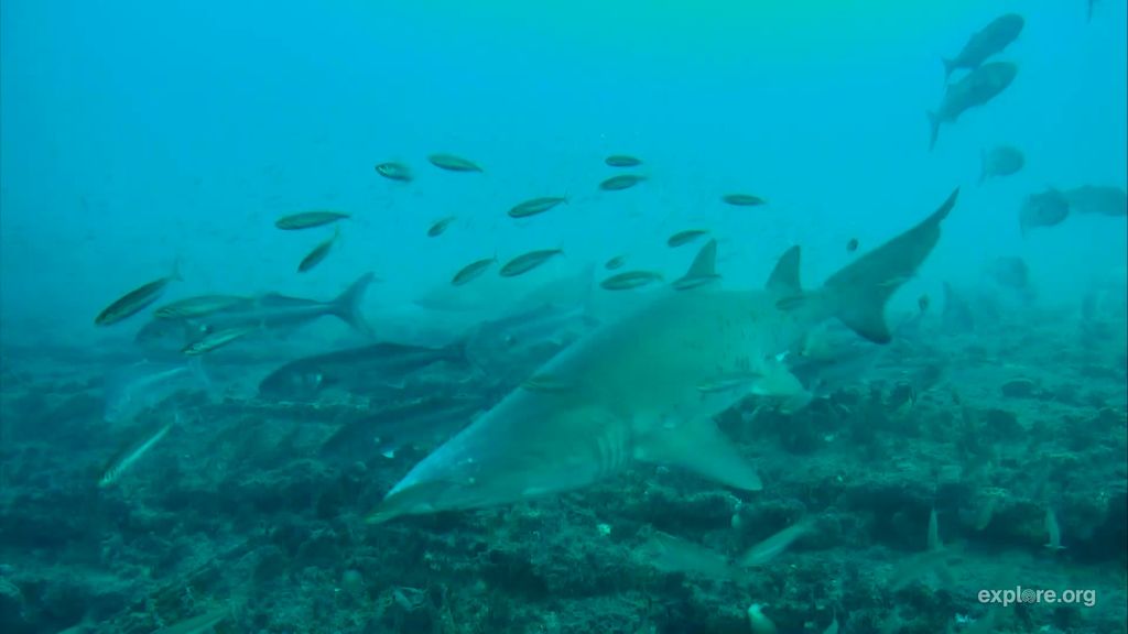 af86dec3-b049-4d41-a132-6b3b1cbc1403