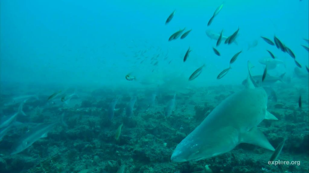 af86dec3-b049-4d41-a132-6b3b1cbc1403