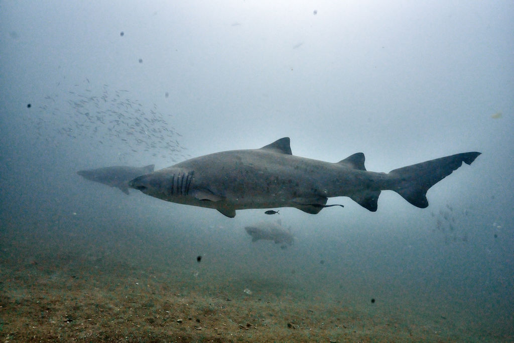 ce1e9bef-e95c-4861-80e8-538678b88b1b