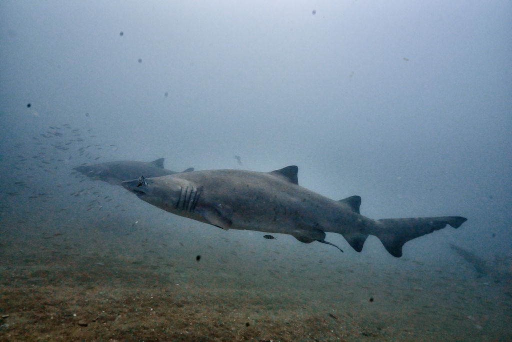 ce1e9bef-e95c-4861-80e8-538678b88b1b