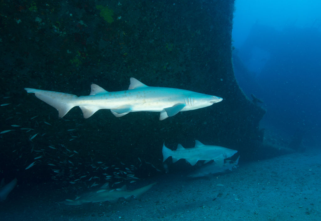 c23698e3-866e-4ac8-8bb3-6406ec42451d