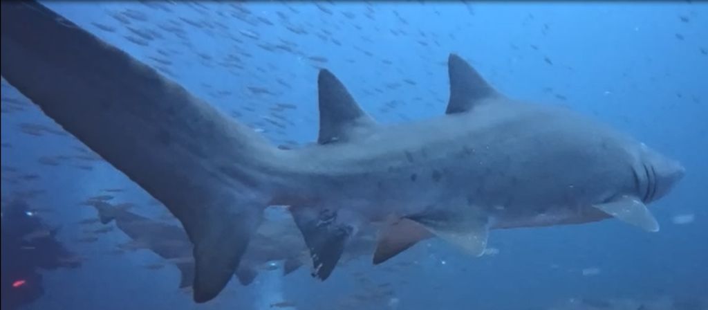 2d95c365-fff9-44e6-9851-8c0557fbd778