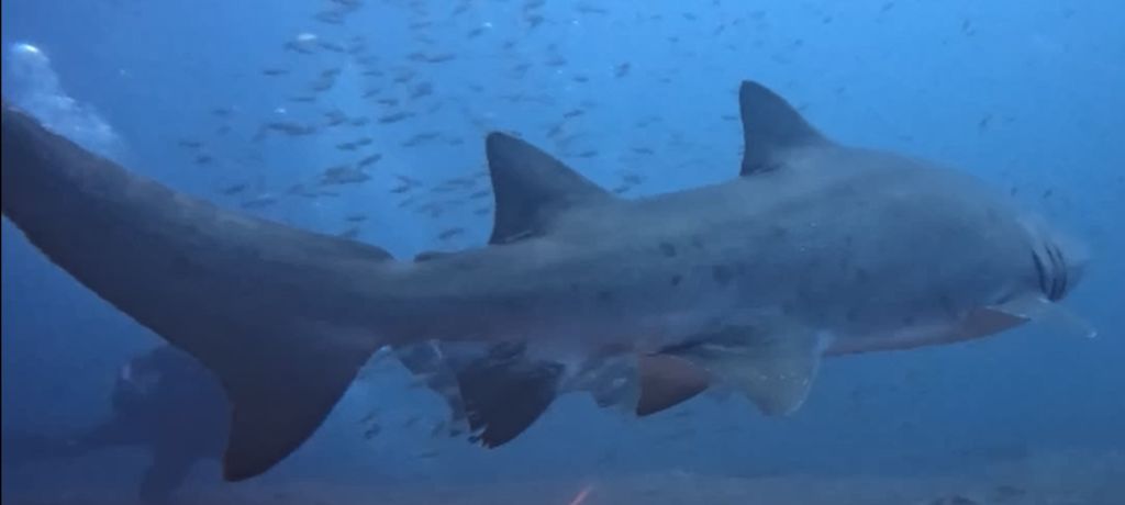 2d95c365-fff9-44e6-9851-8c0557fbd778