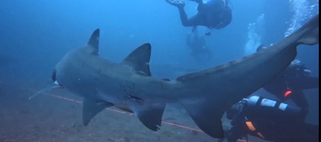 2d95c365-fff9-44e6-9851-8c0557fbd778