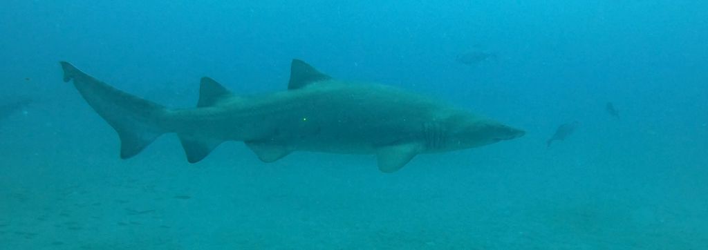 568492aa-5c10-490e-aee7-63ecdeac2e65