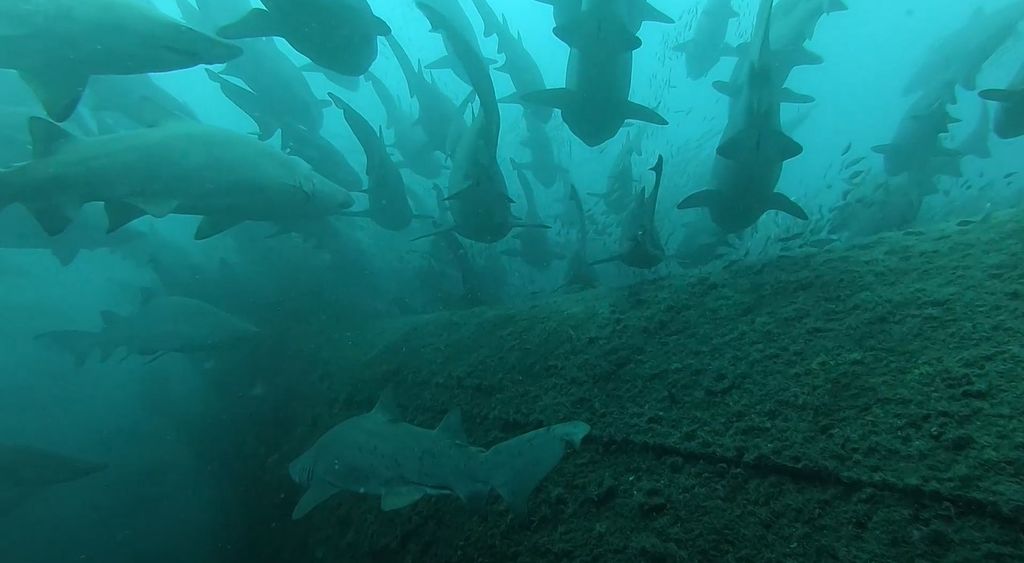 f3866c97-bf64-44aa-b8b8-eed12e8dcf92