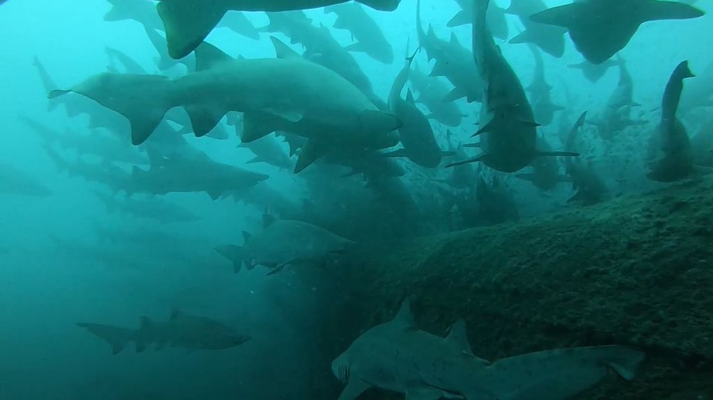 f3866c97-bf64-44aa-b8b8-eed12e8dcf92