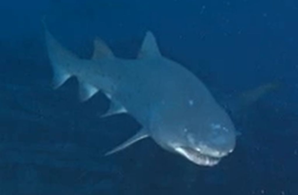 e0397730-1d4c-47bc-8961-e9e4eb9d892e