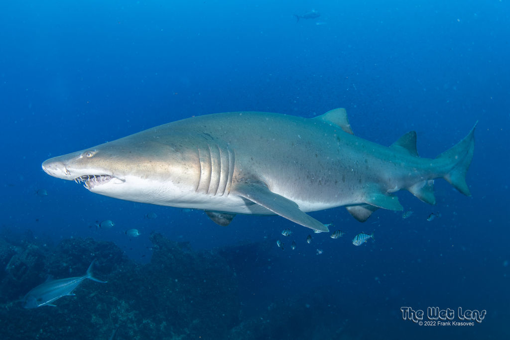 22e96467-f76e-461a-9ae6-21ae84bbec69