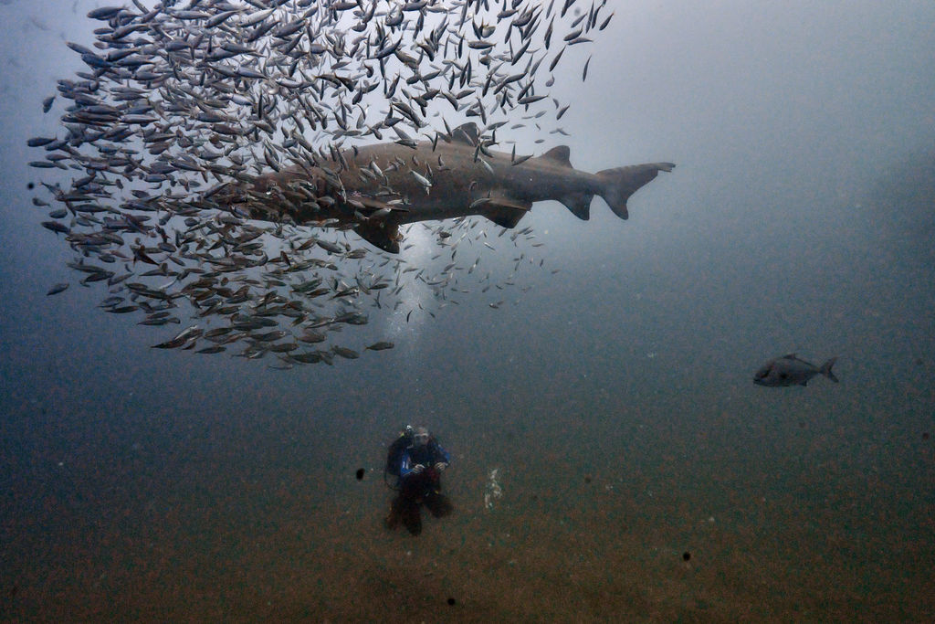 819d5cea-d43e-4160-8103-1773fa45bd7c