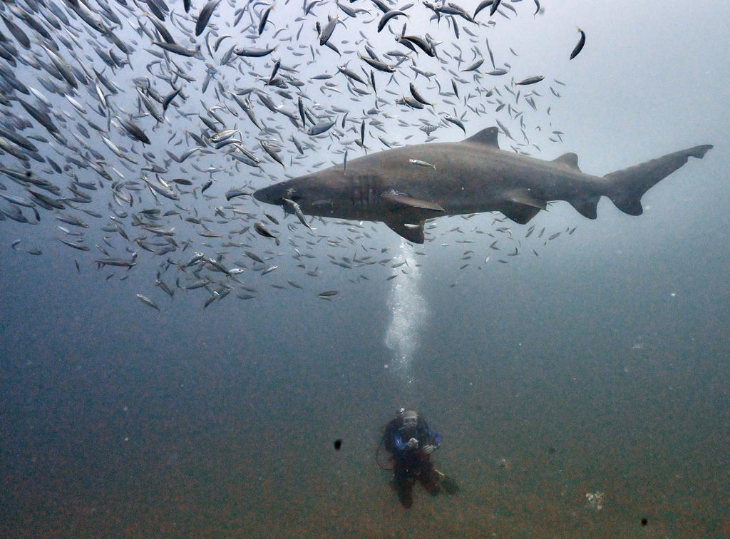 819d5cea-d43e-4160-8103-1773fa45bd7c