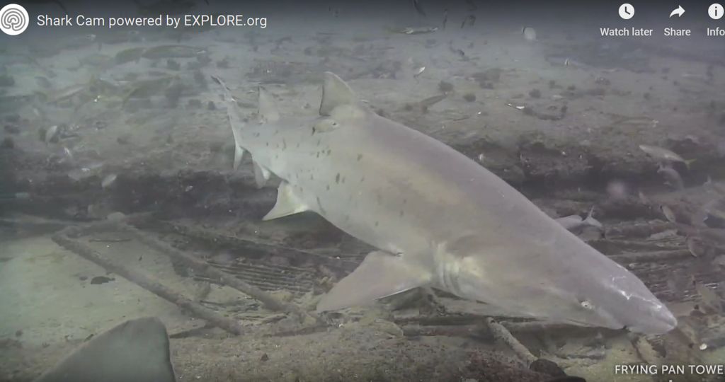 9045b6d9-a4ce-4928-ac34-52b11fb87d15