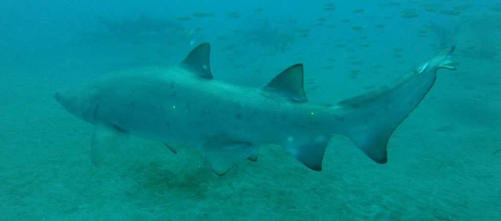 983ab6c5-5a73-4730-b227-7272164aeff9