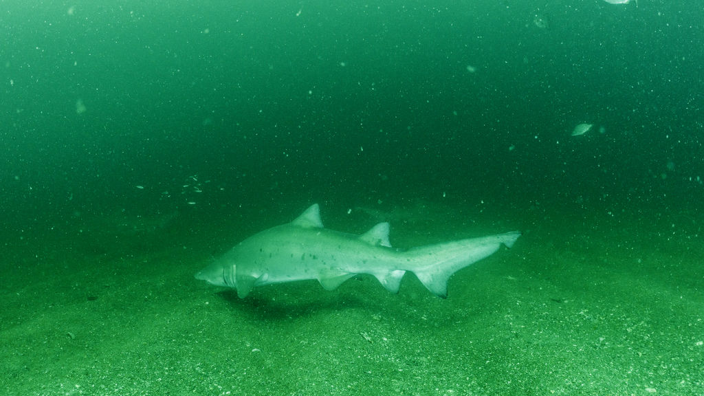 b8f5a32c-9d42-477a-b7f8-f45a1477c22b