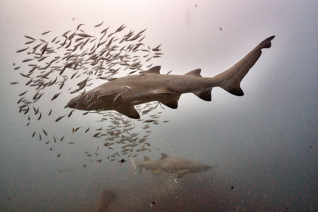 adb4134e-3a4f-4eda-8e2b-5d8a0f4337ad