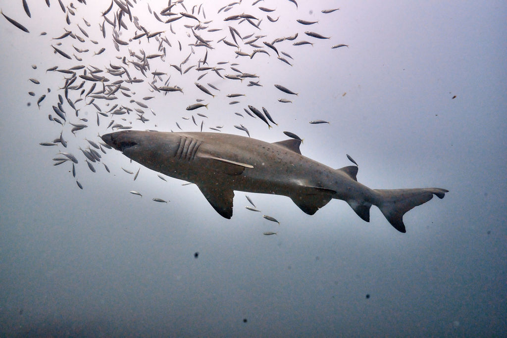 adb4134e-3a4f-4eda-8e2b-5d8a0f4337ad