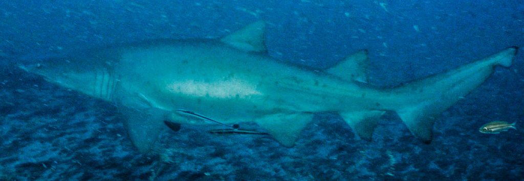 171fcd82-1658-4a90-af68-9140349f2aac