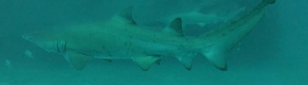 4675ec16-6983-4ef1-85a2-946527675961