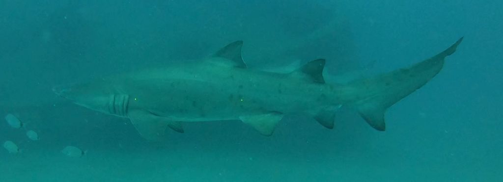 4675ec16-6983-4ef1-85a2-946527675961