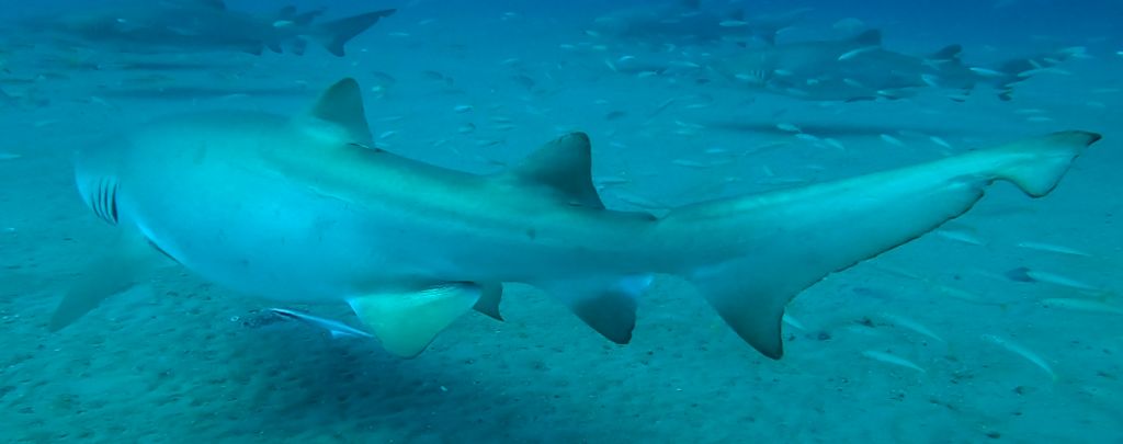 2cbe06b8-4ebe-4a32-b60a-0d3706e3ff90