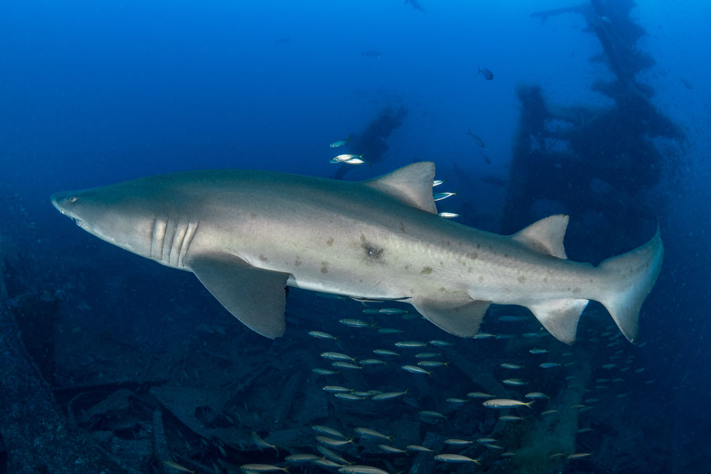 dbab570e-aee7-4fe1-975c-ddca0210a92f