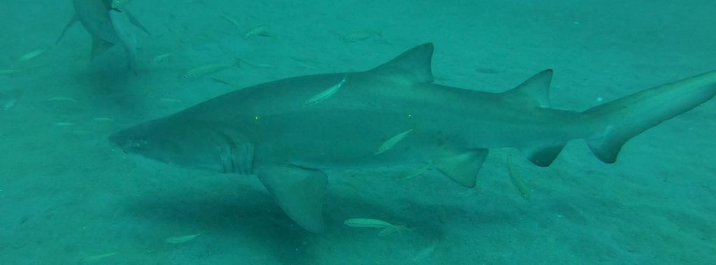 0af75b44-560c-47ac-bb27-1e5887382284