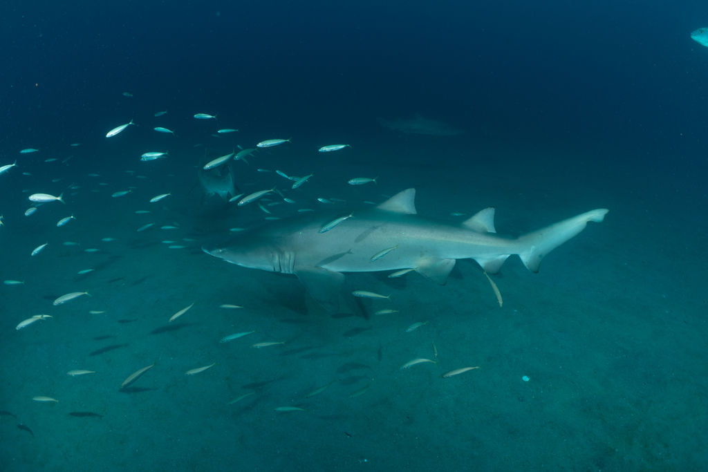 0af75b44-560c-47ac-bb27-1e5887382284