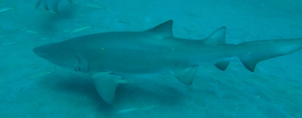 0af75b44-560c-47ac-bb27-1e5887382284