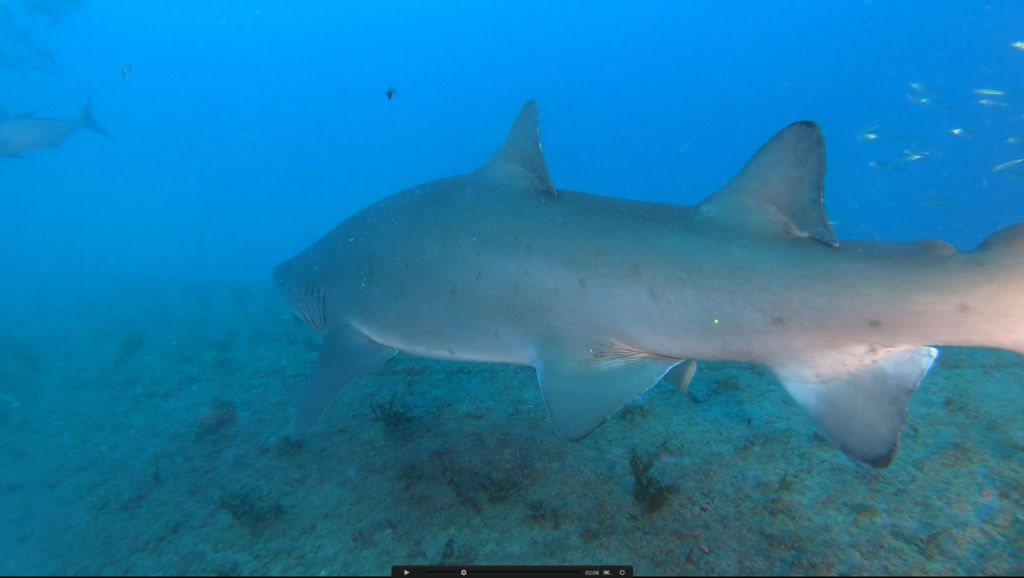 1d30789a-119c-4af3-9894-b0a2e130438e