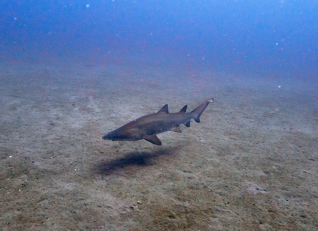 a924894e-fcc5-4991-8e47-e2eb2170975c