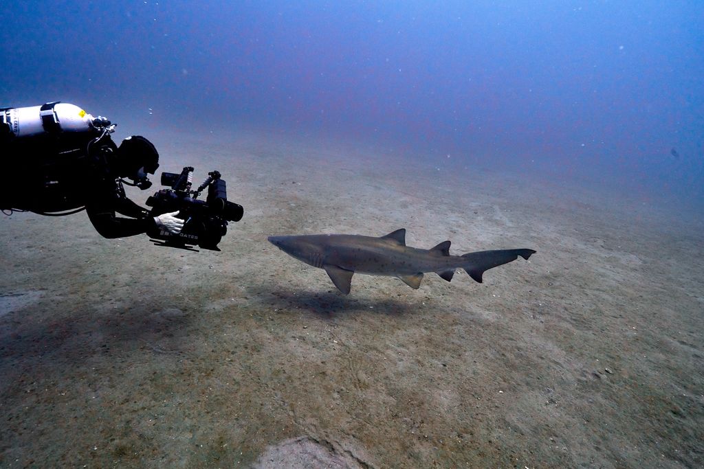 a924894e-fcc5-4991-8e47-e2eb2170975c