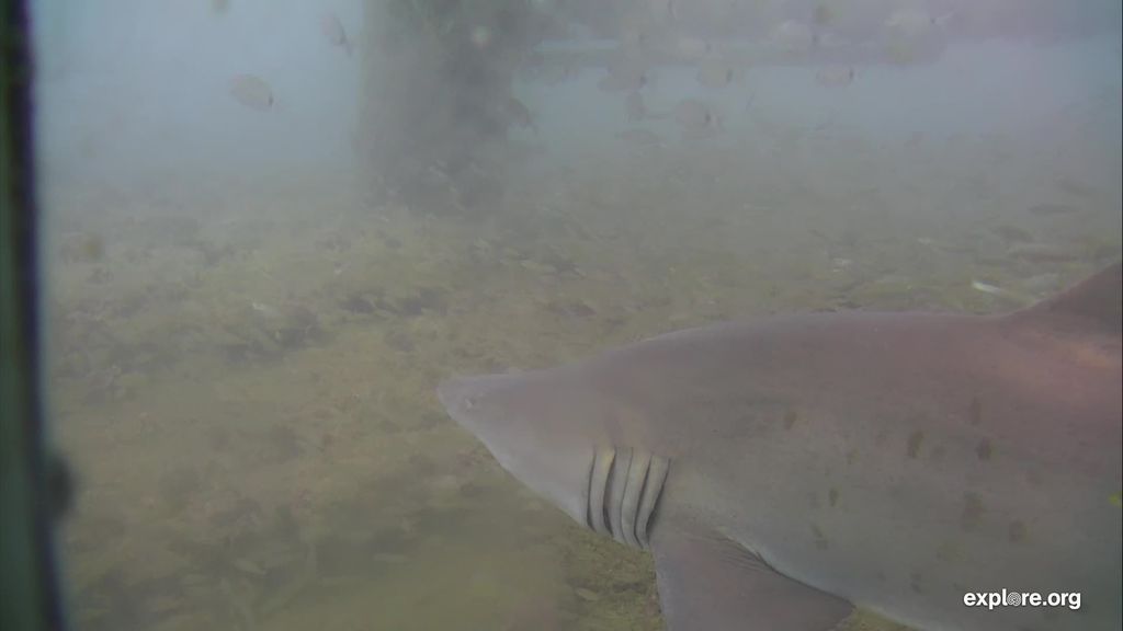 e1385574-6613-4ca5-8746-0832eabbb68e