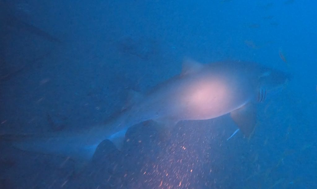 750d38ec-2289-4371-bb81-d3be2549b9dc