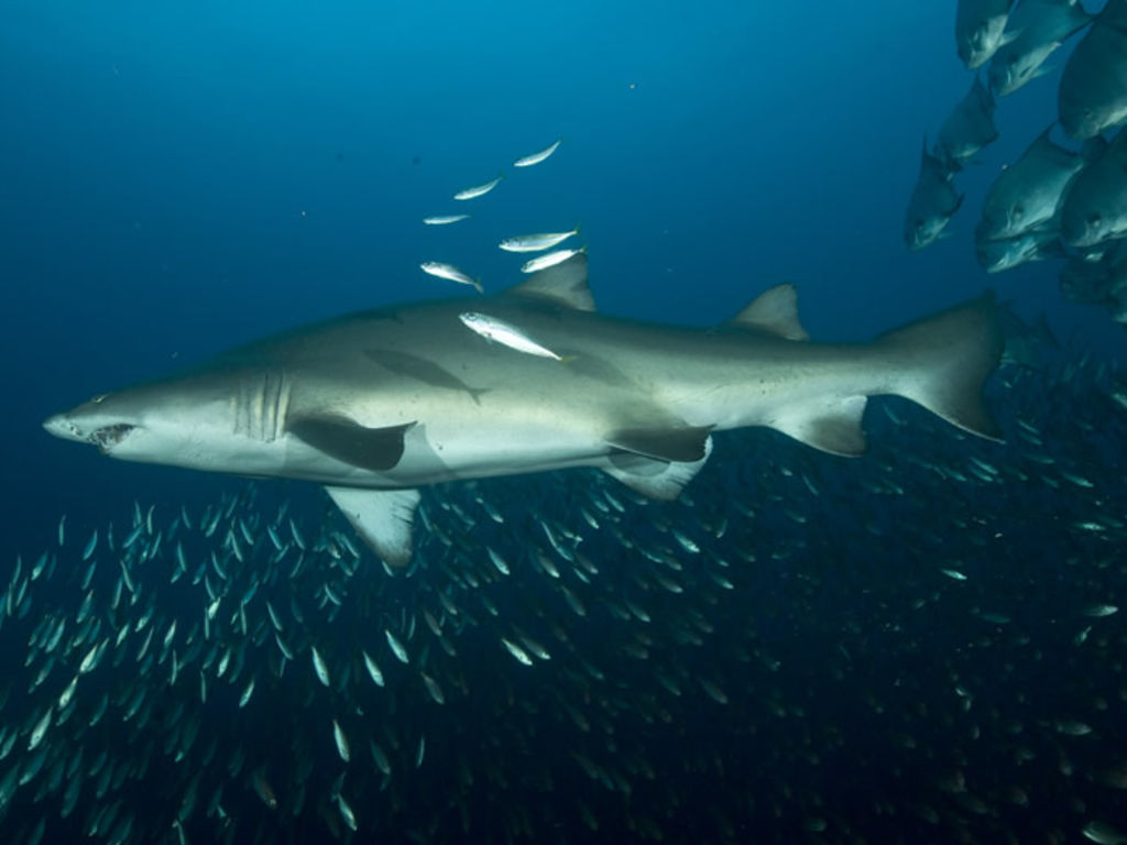 86c08a52-2f42-4cc2-b2c6-7980c94cfcd6