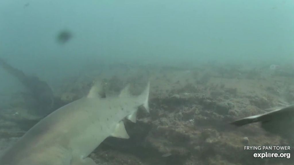 aff288a4-6dc4-4c70-b59c-537c02f638ef