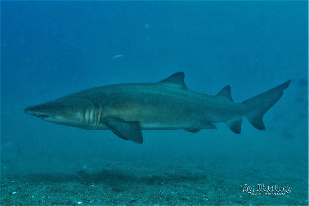 b6c07216-6e76-4e01-960b-7f97a496061d