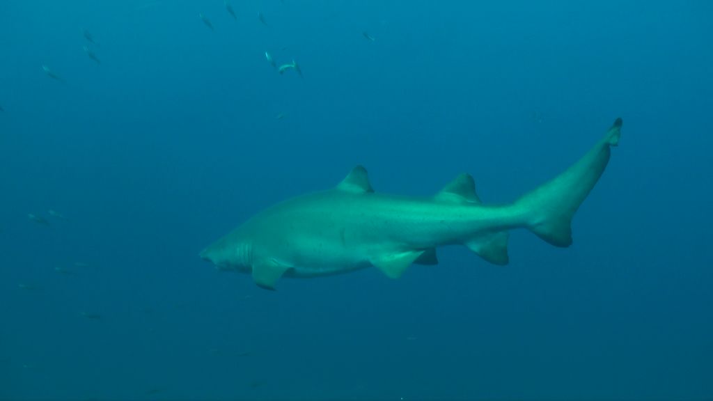 3041b7b7-1447-4b69-934f-abd997dcb4ff