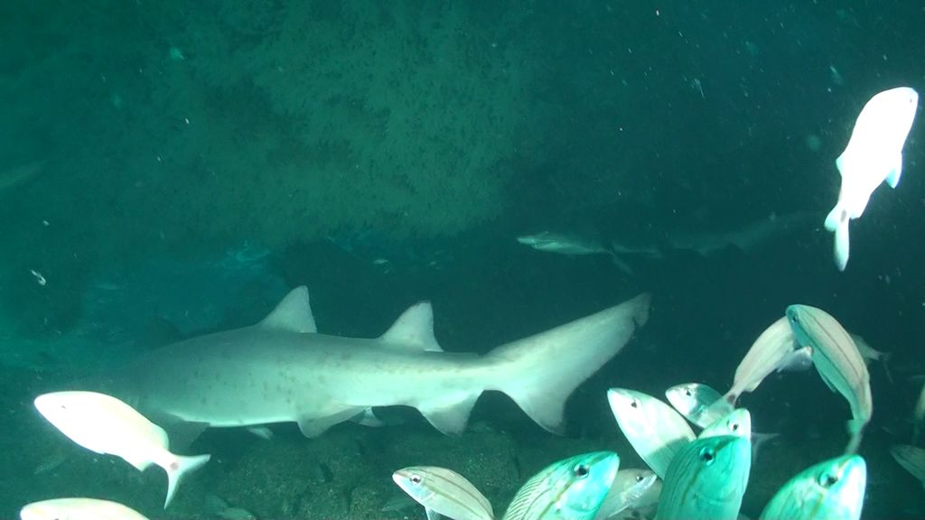 6336584c-e74b-4fca-be31-3846c3a32000