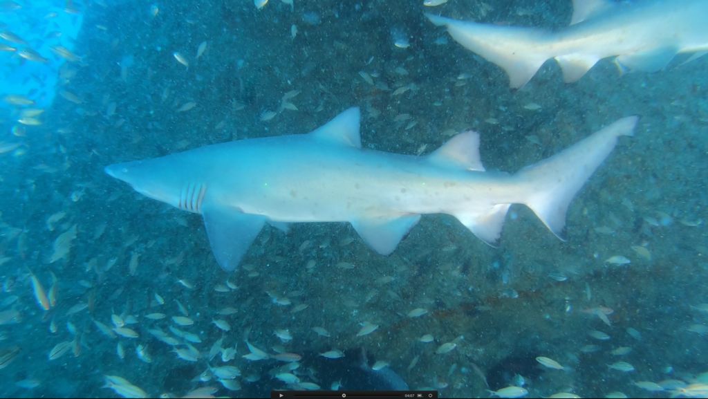 24e8bb43-c321-4117-a192-6164bbdd815c