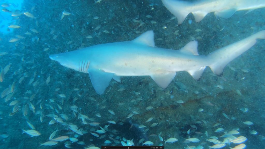 24e8bb43-c321-4117-a192-6164bbdd815c