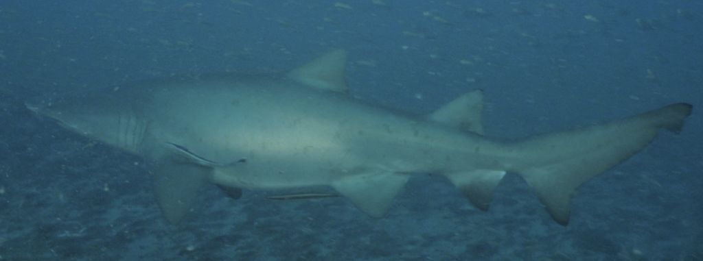 171fcd82-1658-4a90-af68-9140349f2aac