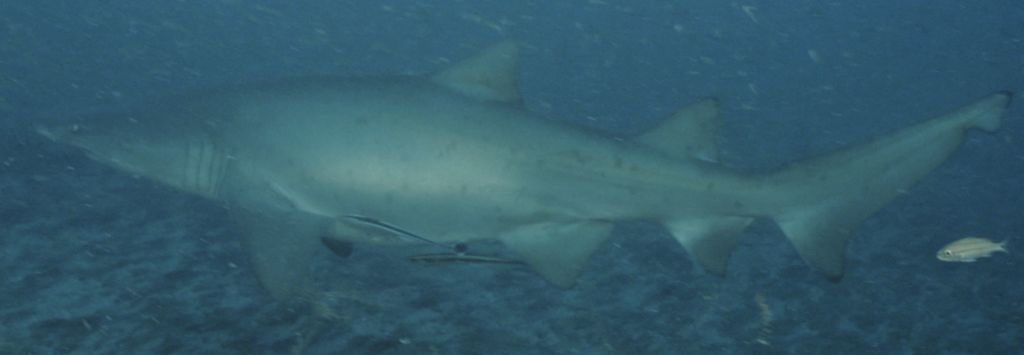 171fcd82-1658-4a90-af68-9140349f2aac