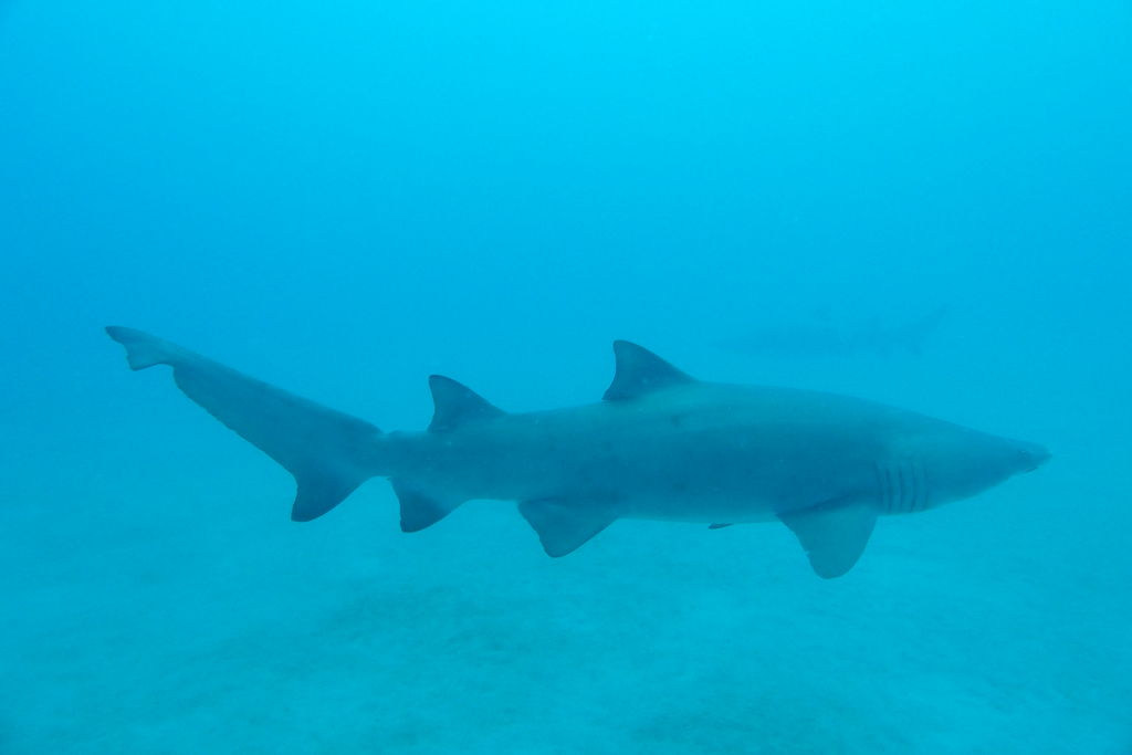 0576f933-3046-46ce-b7d8-c3cdeeccd583