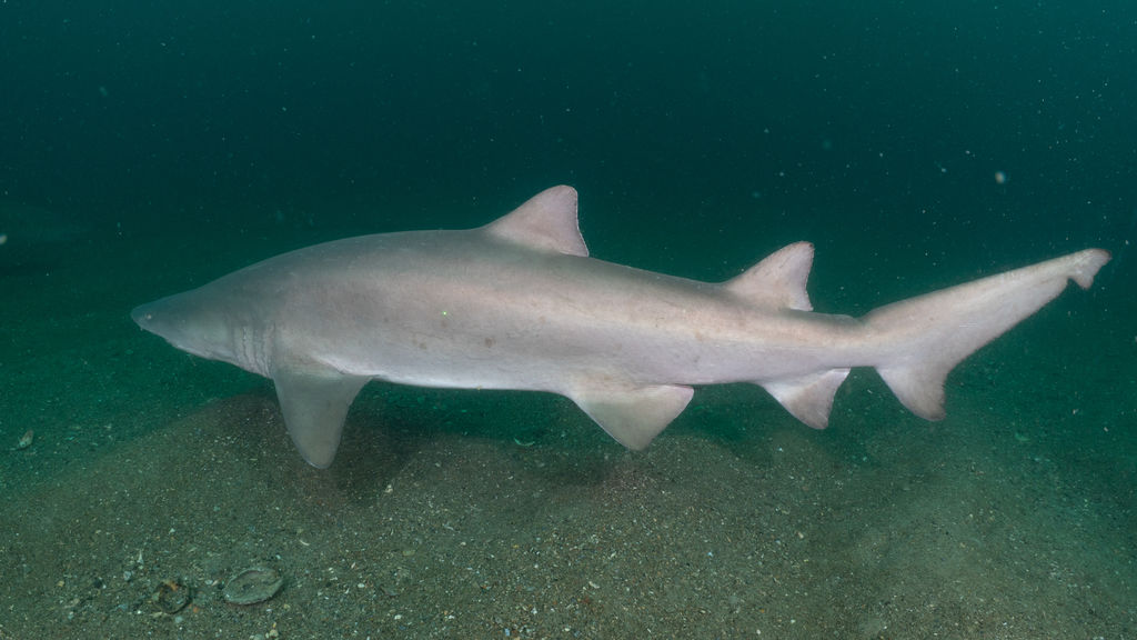 d7552ab9-8068-4a82-8208-243063d8e288