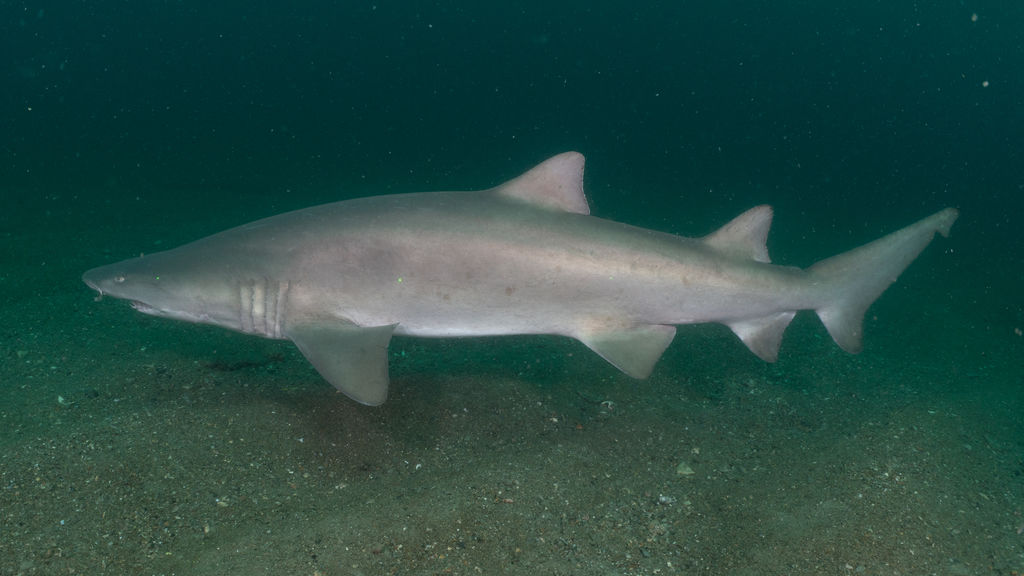 d7552ab9-8068-4a82-8208-243063d8e288