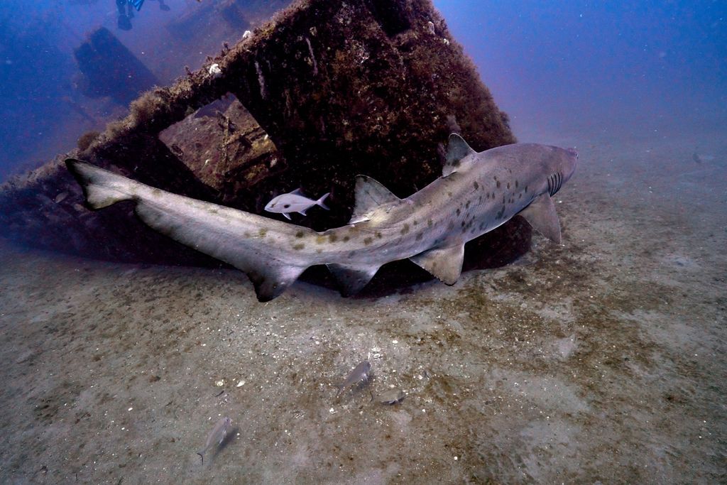 91ee7f98-a0f3-4fc0-bf02-bd82ffd95641