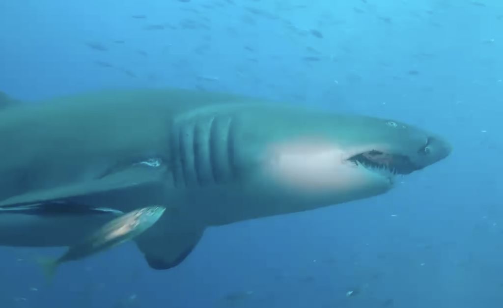 34f910d3-e552-4dba-8391-f35af8ae6aa6